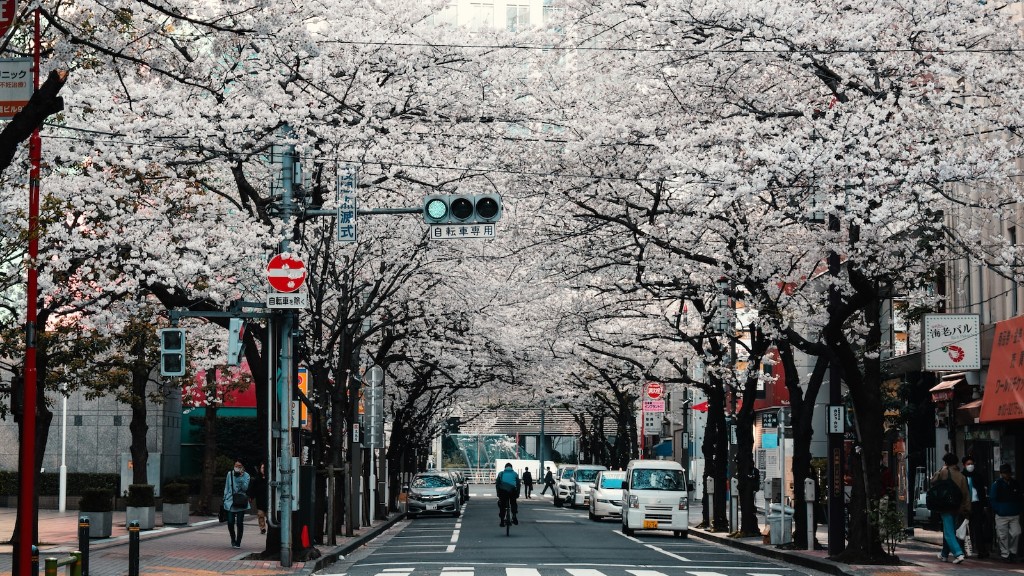 Cea mai bună vreme în Japonia pentru călătorii